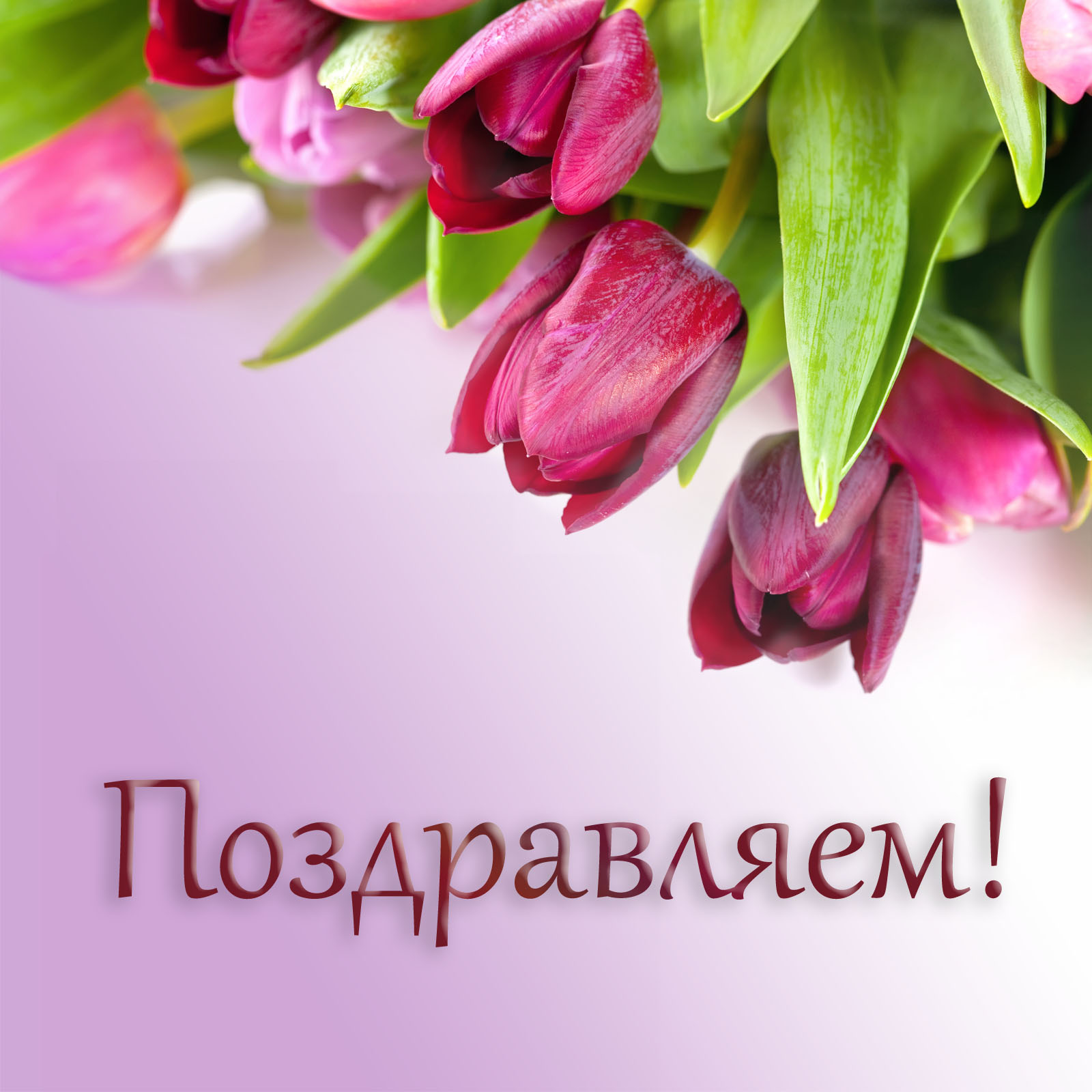 Дорогая Татьяна Михайловна! Примите самое искреннее и доброе поздравление от учеников 4 класса..