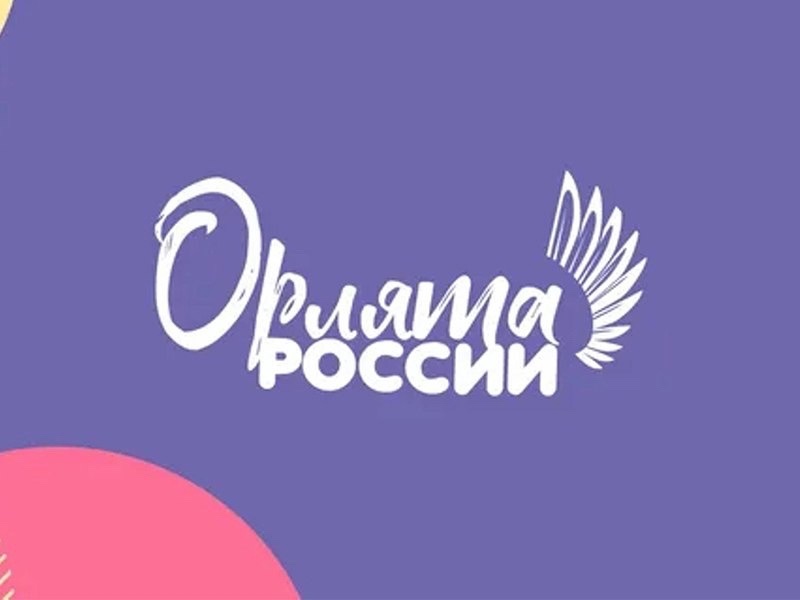 Советник директора по воспитанию в МБОУ &amp;quot;СОШ №9&amp;quot;  приняла участие в заседании методического объединения учителей начальных классов с вопросом по реализации программы развития социальной активности обучающихся начальных классов «Орлята России»..