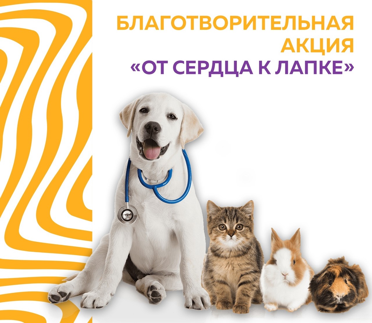 От сердца к лапке.