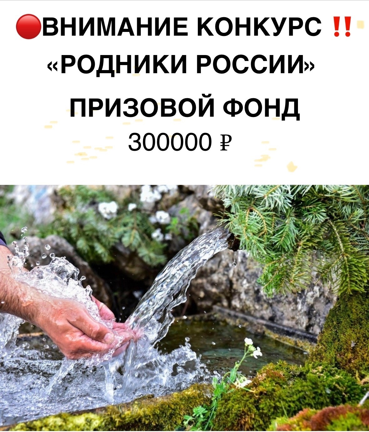 Внимание конкурс!.