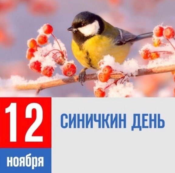 12 ноября &amp;quot;Синичкин день&amp;quot;.