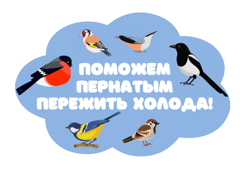 12 ноября отмечается экологический праздник «Синичкин день»..