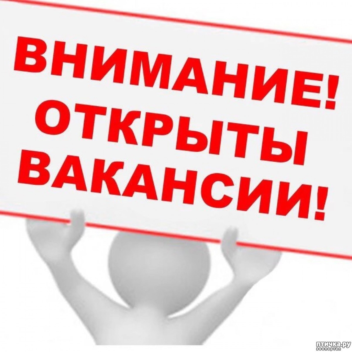 Приглашаем на работу на 2024/2025 учебный год!.