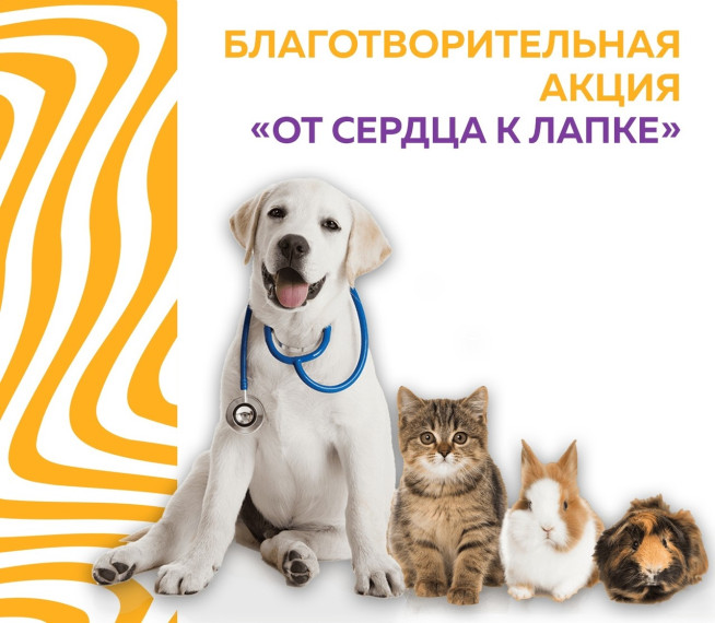 От сердца к лапке.